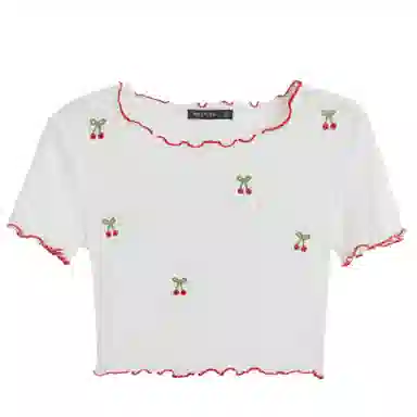 WESTLINK T