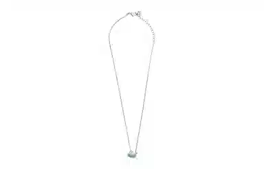 Swarovski Iconic Swan Necklace