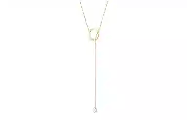 Swarovski Rainbow Swan Y