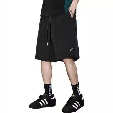 隐狼世家 夏季五分裤潮牌中腰休闲短裤 男款