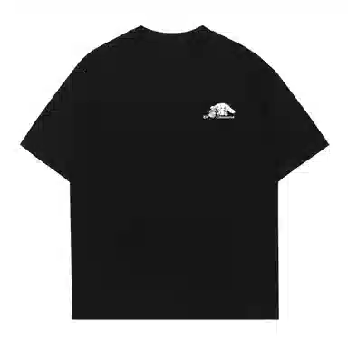 Sanrio x Cinnamoroll SS25 T