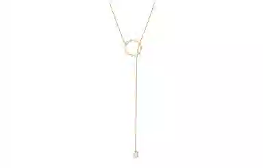 Swarovski Rainbow Swan Y
