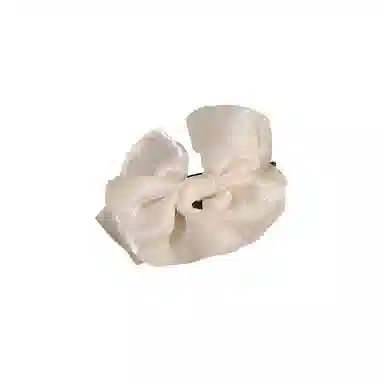 水中玉 高级感花朵抓夹头饰鲨鱼夹盘发发卡发饰氛围感夹子 亚克力 发夹 女款