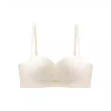 PERFECT LINE SHOW 3d