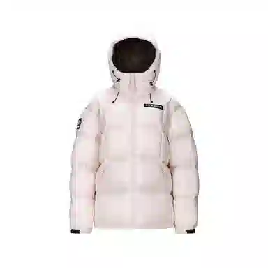 CAMEL Penguin Series