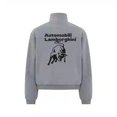 Automobili Lamborghini