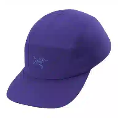 Arcteryx Logo Cap Purple