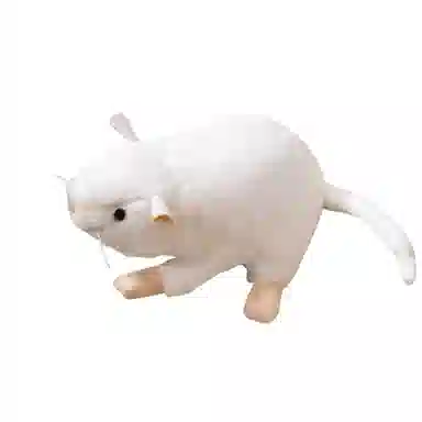 17cm