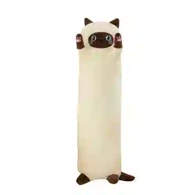 50cm