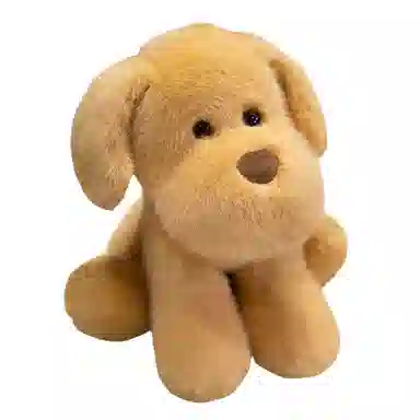 25cm35cm