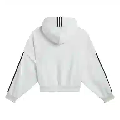 adidas originals x WILLY CHAVARRIA SS25 HEAVYWEIGHT HOODIE