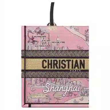 DIOR BookTote Souvenir Tote