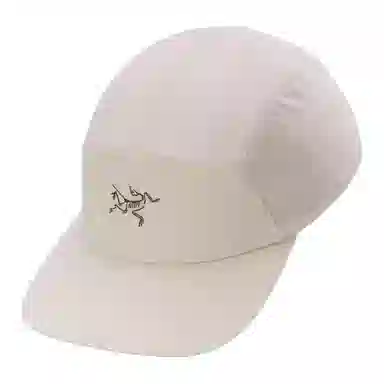 Arcteryx Logo Cap Purple
