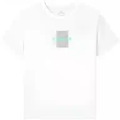 361 T