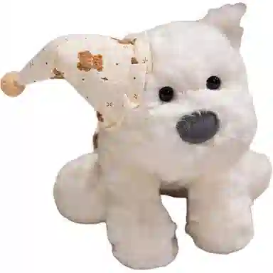 23cm