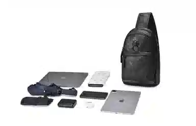 Chusan Copper Lion Head Shoulder Bag