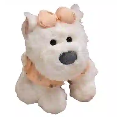 23cm