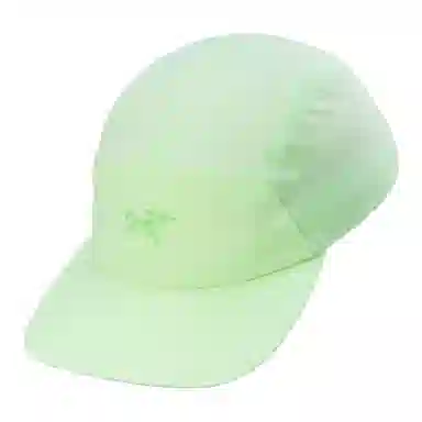 Arcteryx Logo Cap Purple