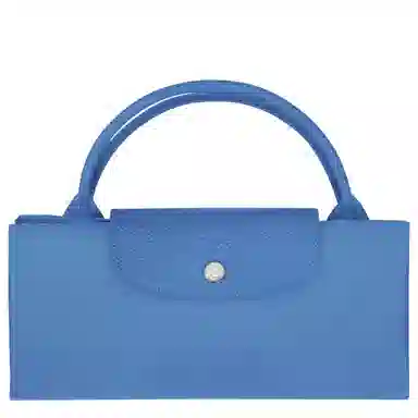 LONGCHAMP Le Pliage Green Logo