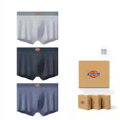 Dickies 3
