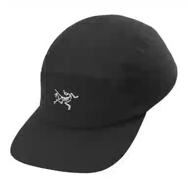 Arcteryx Logo Cap Purple