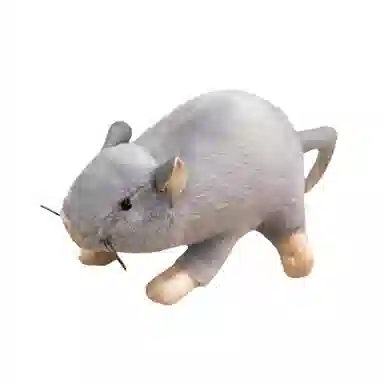 17cm