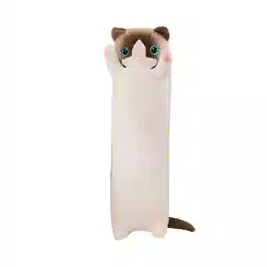 50cm