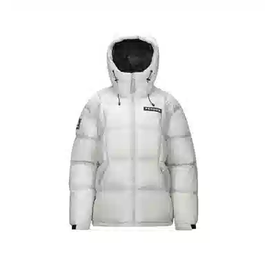 CAMEL Penguin Series