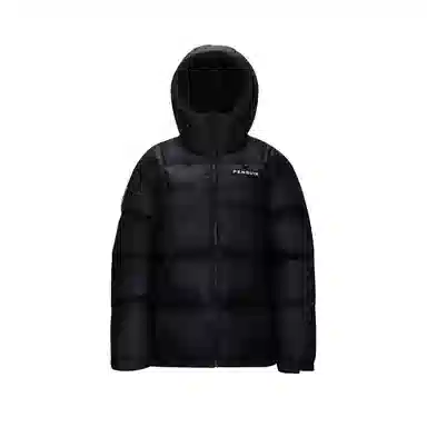 CAMEL Penguin Series