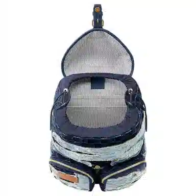 Louis Vuitton x Nigo Montsouris Backpack Blue