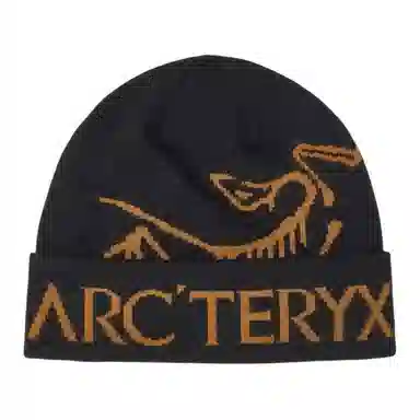 Arcteryx Beanie