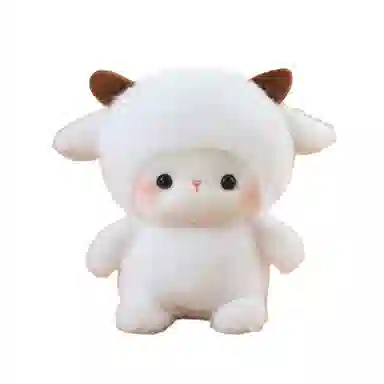 16cm