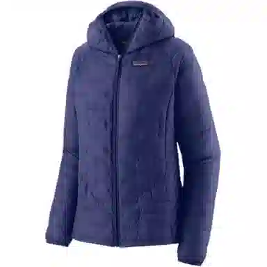 patagonia Micro Puff Logo