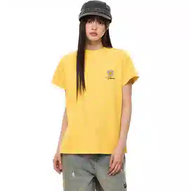 PEA 260Gchic T