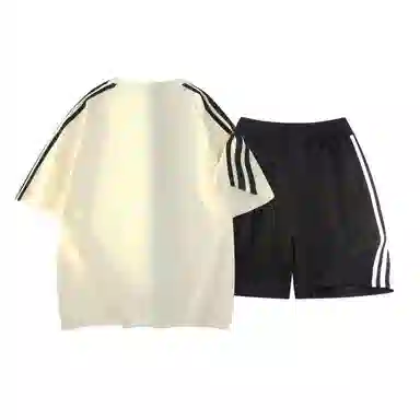 TSMLXLT 260g logoT