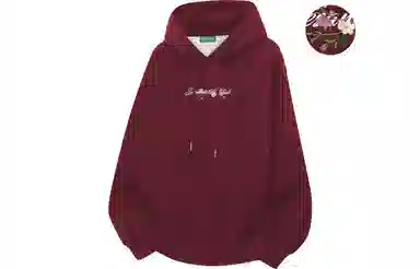 Sesame Street Hoodie