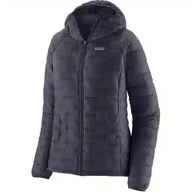 patagonia Micro Puff Logo