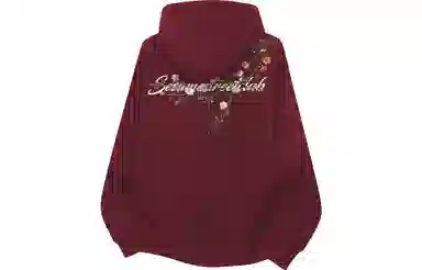 Sesame Street Hoodie