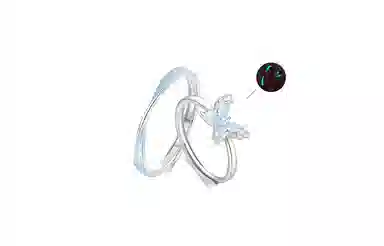 JUICY GRAPE ins S925
