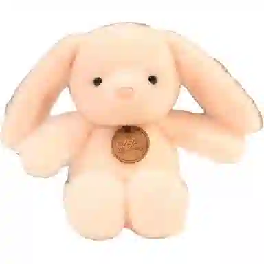 WADORN 21cm