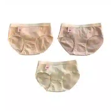 PERFECT LINE SHOW ins