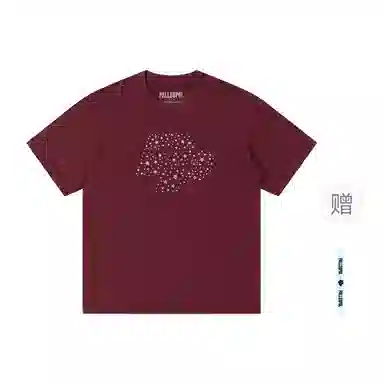 pallsupol T