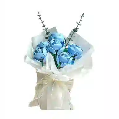 Brangdy DIY 0-300pcs BRA-JM-77-1