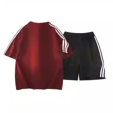 TSMLXLT 260g logoT