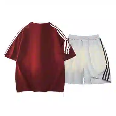TSMLXLT 260g logoT