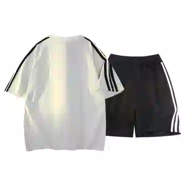 TSMLXLT 260g logoT