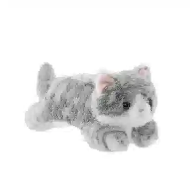 The Green Party 15cm23cm