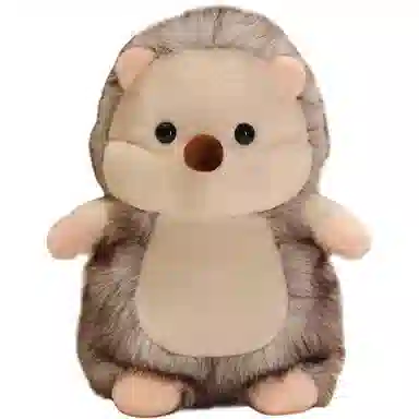 20cm