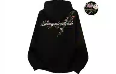 Sesame Street Hoodie