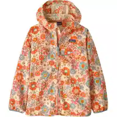 patagonia
